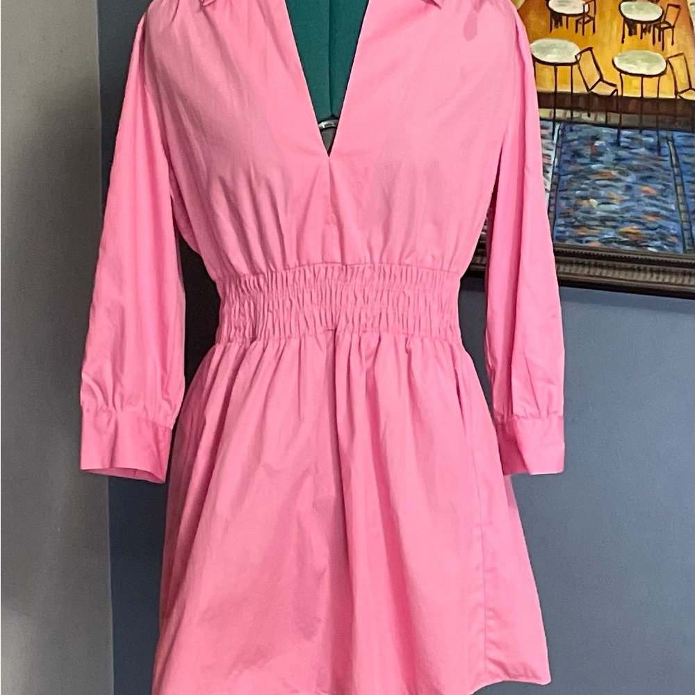 NWT Zara pink dress Sz M